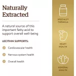 Ready to deliver lecithin, solgar, soya lecithin, 1360 mg, 180 Softgels.