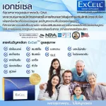 Excel Vaye EXCEL beam supplements, HDE, special nutrients, Avuan Embryonuc Eggs for slowing the degeneration of cells.