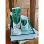 CALLEAF by Medileen genuine from the company