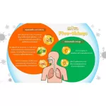 INNOWENESS FIVE THINGS Five Plu -Cao Extract Turmeric extract Vitamin C and 12 bottles