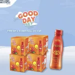 INWOWNESS Good Day Set Fresh Awake Dietary Supplement Vitamin B1, B6, B12, Niasin, Vitamin C and 4 pack of green tea extract