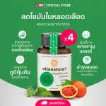 Vita Nature Plus supplement Mulberry leaf extract Mixed with 4 bottles of Moringa leaf extract