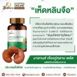 บาลานส์ เจียวกู่หลาน 30 แคปซูล