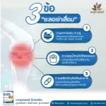 เบญจออยล์ ซีเคอร์มิน 30 แคปซูล 6 กระปุก แถม ร่ม 8 ปี เบญจออยล์