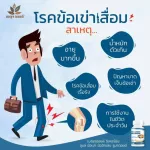 เบญจออยล์ ซีเคอร์มิน 30 แคปซูล 6 กระปุก แถม ร่ม 8 ปี เบญจออยล์
