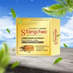 ถั่งเช่าทิเบตสกัด ผสมถั่งเช่าสีทอง เน้นรักษาโรค ช่วยเรื่องภูมิแพ้ บำรุงร่างกาย แบรนด์เอสถั่งเช่า ขนาด 10 แคปซูล