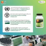 Ready to deliver the Gold Seaweed GD 1, organized a special promotion, free 1 free Multi Mineral box.