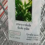 ขมิ้นชันแคปซูล บรรเทาอาการท้องอืด ท้องเฟ้อ จุกเสียด  50 เเคปซูล