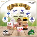 Vinee Corgidest, Tibetan rental 2 capsules/envelopes