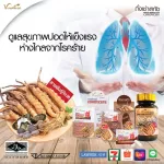 Vinee Corgidest, Tibetan rental 2 capsules/envelopes