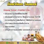 Vinee Corgidest, Tibetan rental 2 capsules/envelopes