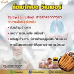 Vinee Corgidest, Tibetan rental 2 capsules/envelopes