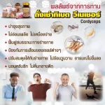 Vinee Corgidest, Tibetan rental 2 capsules/envelopes