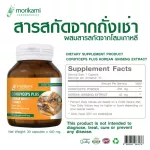 Cordyceps mixed with Korean ginseng extract x Mori Kami Cordyceps Plus Korean Ginseng Extract Morikami