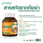 Cordyceps mixed with Korean ginseng extract x Mori Kami Cordyceps Plus Korean Ginseng Extract Morikami