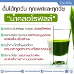 Giffarine Giffarine D-TOC Chorophyl Plus mixed with wheat fiber, green tea, vitamin C, chlorophyll and 30 sashets 86400