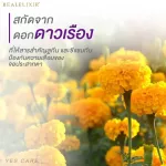 Real Elixir Yes Care contains 30 tablets.