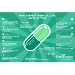 Nature's Way Niacin Vitamin B3 100 mg 100 Capsules Niasin Vitamin B3 100 Capsules