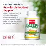 Jarrow Formulas Curcumin Phytosome Meriva 500 MG 60 Veggie Caps Turmeric 60 Capsules