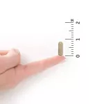 Garden of Life Vitamin Code Raw IRON 30 Vegan Capsules, Vitamin, iron 30 Vigan capsule