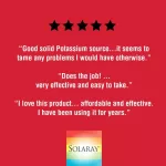 Solaray Potassium 99 mg 200 Vegcaps Potassium 200 Weigi Capsule