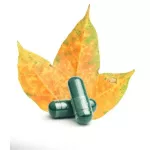 Naturelo Vegan B12 with Spirulina 90 Capsules Vitamin B12 Mixed to Rulina 90 Wigan Capsule