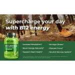 Naturelo Vegan B12 with Spirulina 90 Capsules Vitamin B12 Mixed to Rulina 90 Wigan Capsule