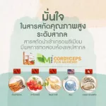วิตามินวัยทอง สมุนไพรแก้อาการวัยทอง นอนไม่หลับ ชะลอวัยแบบได้ผล เข้มข้นที่สุด M TALE Cordyceps Plus 10 แคปซูล