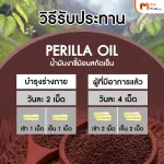 MVMALLLA OIL 2 -boxing spring sesame oil
