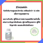 Mega Sinkhomin 60 capsules