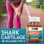Shark cartilage Collagen Typ Two x 1 bottle of Bio Cartilage Plus Collagen Type II Biocap Collagen Type 2 collagen -collagen