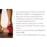 Lekcapp เลคแคปป์ สมุนไพรบำรุงสุขภาพกระดูกและเข่า