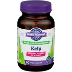 Oregon's Wild Harvest Kelp 90 Vegan Capsules Slips Algae Extract
