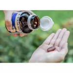 Blackmores Multi Active Multivitamin + CoQ10 แบล็คมอร์ มัลติแอคทีฟ พลัส คิวเท็น 30แคปซูล