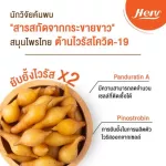 1 แถม 1 HERB PLUS KRACHAIKAO อาหารเสริมอาหาร เฮิร์บ พลัส กระชายขาว สารกระชายขาวสกัด 240 มก.