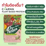 Charnn Plant Based Protein Matcha, world -class plants, easy to eat, suitable for people who love to eat Vig