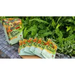 Whey protein from Charnn Plant Based Protein. Easy to eat. Mellow taste Suitable for exercise cables