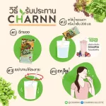 Pack 6 boxes, get 7 sachets Charnn Plant Based Protein, 100% protein supplement, cow's milk, soybean, cholesterol