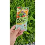 Charnn Plant Based Protein Vegan Diet, 100% protein dietary supplement, lean, fast, easier to eat than whey protein.