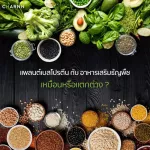 Charnn Plant Based Protein, more than 36 organic protein supplements, mellow flavor Worth the price