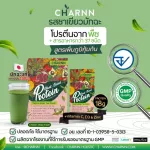 Charnn Plant Based PROTEIN MATCHA FLLAVOR. Real protein protein supplement. 18 g.