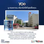 Yoo Collagen เพียวคอลลาเจน Premium Grade