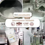 เซ็ต 4 ถุง ลิซเซ่ คอลลาเจนไตรเปปไทด์ Hydrolyzed จากญี่ปุ่น ดูดซึมไว ไม่คาว ลดข้อเข่าเสื่อม ผิวเนียนกระชับ ชุ่มชื้น เล็บ ผม สุขภาพดี