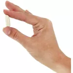 Solgar Boswellia Resin Extract 60 Vegetable Capsules India