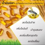 มีโปรทักแชท น้ำมันปลา น้ำมันตับปลา กิฟฟารีน Fish oil GIFFARINE  4 ขนาด  ทานได้ทุกวัย