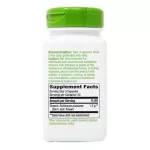 Nature's Way Echinacea Purpurea Herb 1,200 mg 180 Vegan Capsules เอ็กไคนาเซีย 180 วีแกนแคปซูล