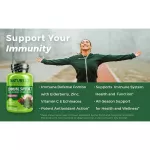 Naturelo Immune Support with Elderberry Vitamin C&O Zinc Plus Echinacea 60 Vegetarian Capsules Alderberry, Vitamin C & Sink + Akkina 60