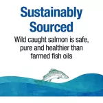 Natural Factors Wild Alaskan Salmon Oil 1,000 mg 90 Softgels Salmon Oil 90 Softgel
