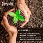 HIMALAYA ASHWAGANDHA 60 CPAPLETS Indian Ginseng extracted 60 caplets