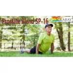 Solaray Prostate Blend SP-16 100 Vegcaps Herbal Extract Maintenance of prostate